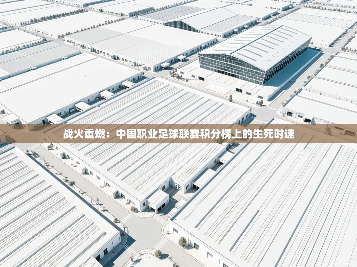 战火重燃：中国职业足球联赛积分榜上的生死时速  第1张
